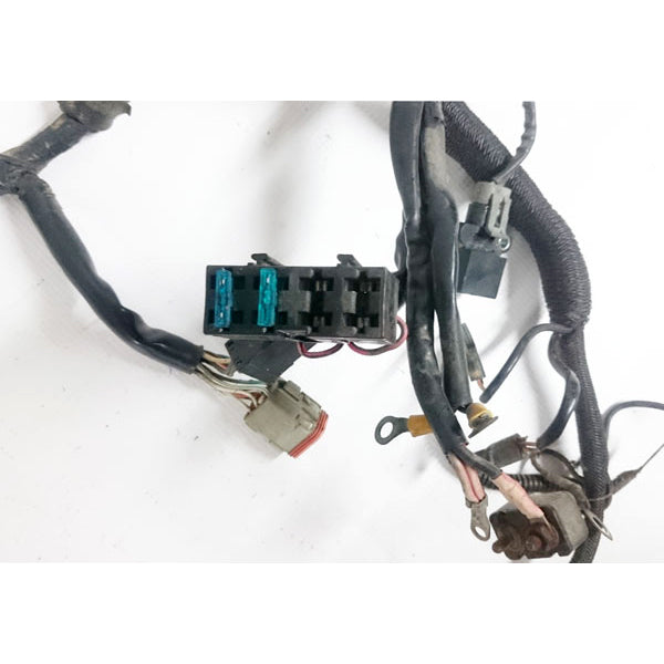 Harness para Sportster '96-'01