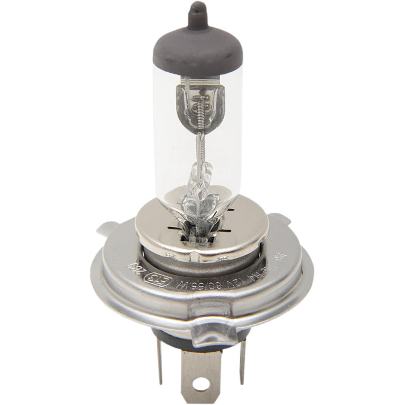 Foco de Halógeno 55/60 W H4