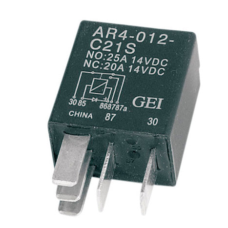 Micro Relay de la Marcha