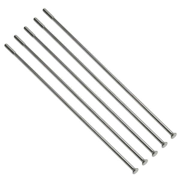 Juego de 5 Rayos 189mm Trasero BMW R nineT, R1200, R1250