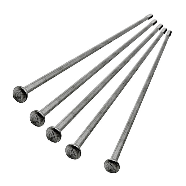 Juego de 5 Rayos 196mm Delanteros BMW R nineT, R1200, R1250