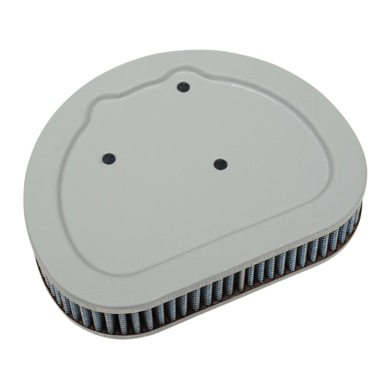 Filtro de Aire Alto Flujo Twin Cam '99-'17