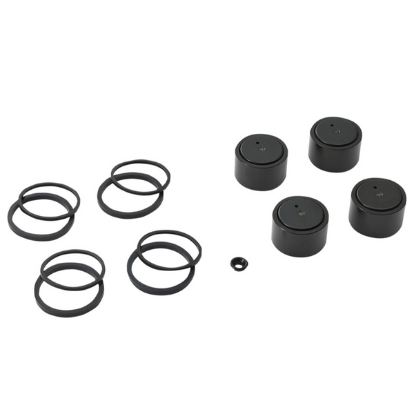 Juego Pistones/Sellos Caliper Freno Trasero Touring y V-Rod '08-'25