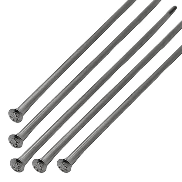 Juego de 5 Rayos 186mm Trasero BMW R80, R100, R850, R1100, R1200