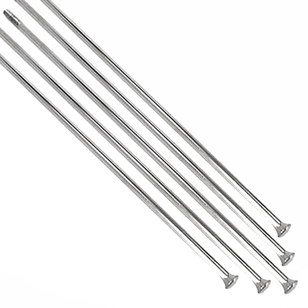 Juego de 5 Rayos 198mm Trasero BMW F850, R1100, R1150, R1200